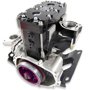 Blowsion Kawasaki Big Bore Engine - 820cc